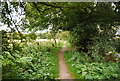 The Gipping Valley River Path