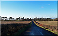 Minor Road, Macnairston Farm