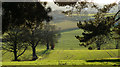 View towards Stainborough Folds