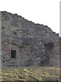 NT9953 : Berwick Castle - Curtain Wall by cathietinn