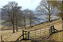 NT3138 : Gate at the edge of High Wood by Jim Barton