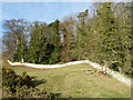 Wall and woods of Castle Hills House estate