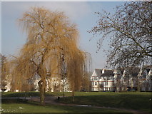 SU9852 : Queen Elizabeth Park, Guildford by Colin Smith