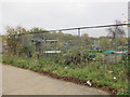 Nuffield Road allotments