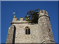 ST1013 : Church tower, Culmstock by Derek Harper
