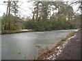 Basingstoke canal - Fleet