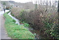 Stream by Litton Lane