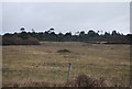 Farmland behind Cogden Beach