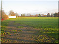 Winthorpe cricket field