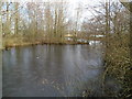 Southern edge of a lake, Glan Llyn, Newport