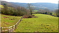 Monmouthshire countryside