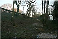 Tree cutting next to the railway