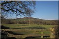 Culm flood plain