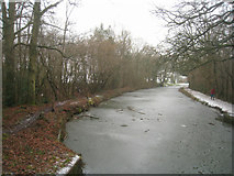 SU7951 : Basingstoke Canal in winter by Mr Ignavy