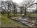 Lyme Park, Bollinhurst Brook