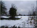 Addington Court Golf Course in the snow