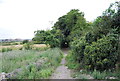 Medway Valley Walk leaves Old Church Rd