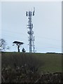 Mobile phone mast near Dawlish