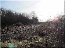 SS9085 : Disused railway line near Brynmenyn by John Light