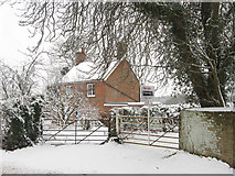 TQ5514 : Hale Cottage by Simon Carey