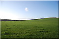 Farmland, Litton Cheney