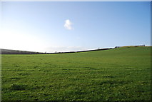 SY5490 : Farmland, Litton Cheney by N Chadwick