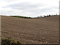 Ploughed drumlin slopes between Orchard Road and the A2