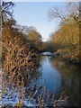 The River Mole, south of the A246