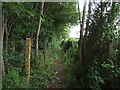 Footpath Alongside The A31