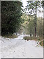 SO9875 : Monument Lane, Lickey, Snowy Path by Roy Hughes