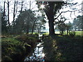 Stream On Parley Common