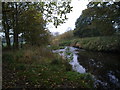 View of the river Browney