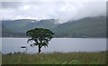 Loch Linnhe