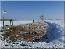 TF4230 : Footpath to Wiles Farm from Dawsmere Road by Richard Humphrey