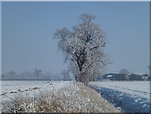 TF4230 : Winter scene looking towards Wiles Farm by Richard Humphrey