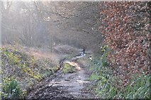 SS6813 : North Devon : Rock Hill by Lewis Clarke