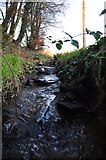 SS6813 : North Devon : Small Stream by Lewis Clarke