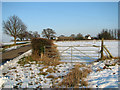 Pasture gate by Coles Green Farm