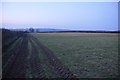 Mid Devon : Grassy Field & Tractor Track