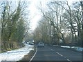 Staines Road passing Silver Wing Lake