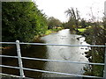 The stream looking south, as seen from the weak bridge at Upper Clatford