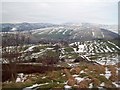 Overlooking Ridge Top and Hayfield