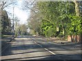 Solihull - Warwick Road nearing Ashleigh Road