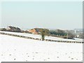 View towards Barham church