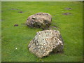 TL5419 : Hatfield forest Puddingstones by Lewis Potter