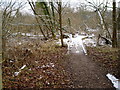 Winter scene at Warnham Nature Reserve