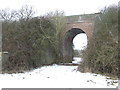 TL7343 : Old Railway Bridge by Keith Evans