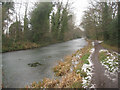 Basingstoke Canal - Fleet