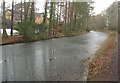 Basingstoke Canal by the Aldershot Road