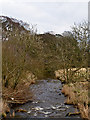 View from a bridge on the River Avon